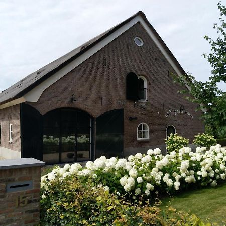 B&B Agnetenhoeve Overasselt Eksteriør bilde