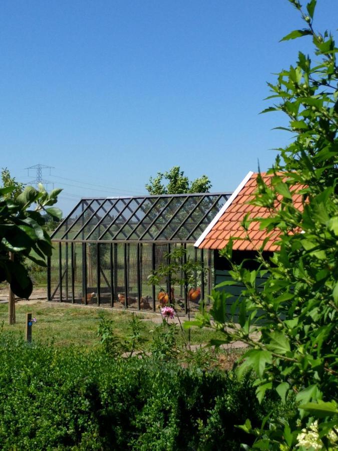 B&B Agnetenhoeve Overasselt Eksteriør bilde