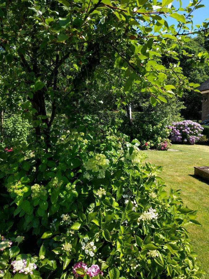 B&B Agnetenhoeve Overasselt Eksteriør bilde